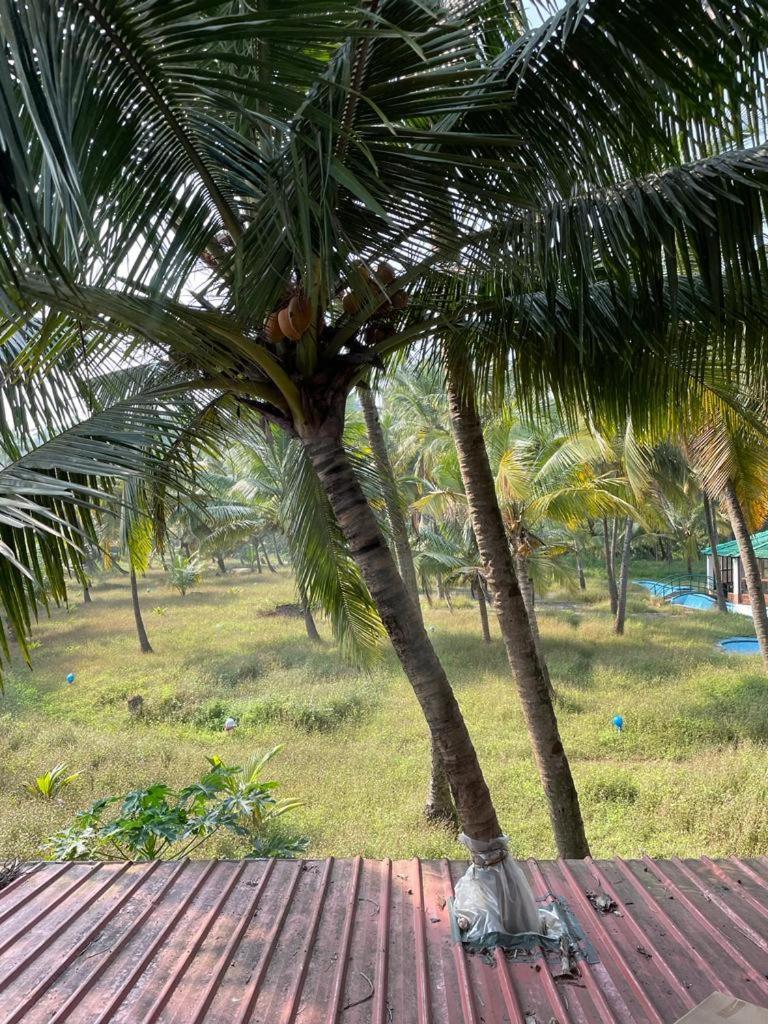 Joets Guesthouse بوغمُلو المظهر الخارجي الصورة